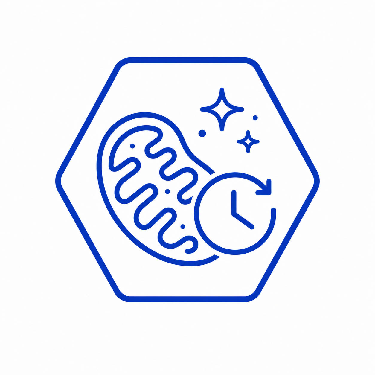 Mitochondrial & Longevity Research